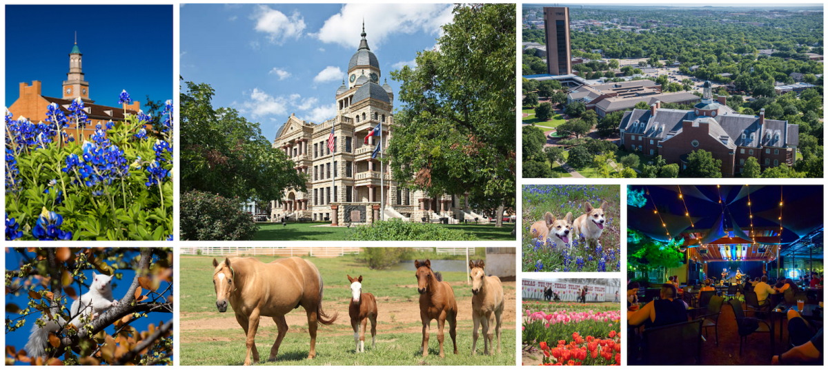 Collage of images across Denton community
